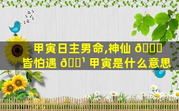 甲寅日主男命,神仙 🍁 皆怕遇 🌹 甲寅是什么意思